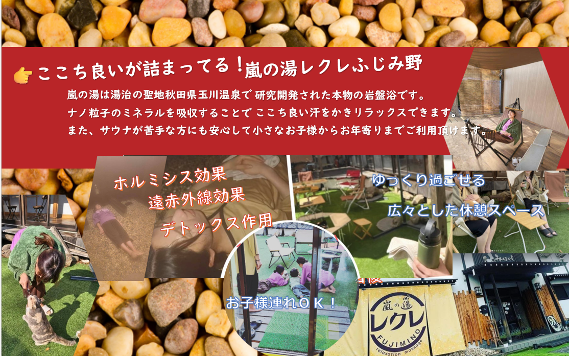 スクリーンショット (305)